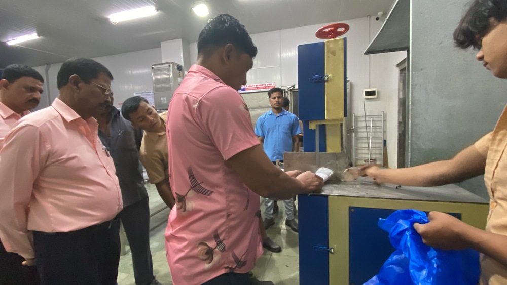 Frozen Fish Cutting Machine Manufacturer