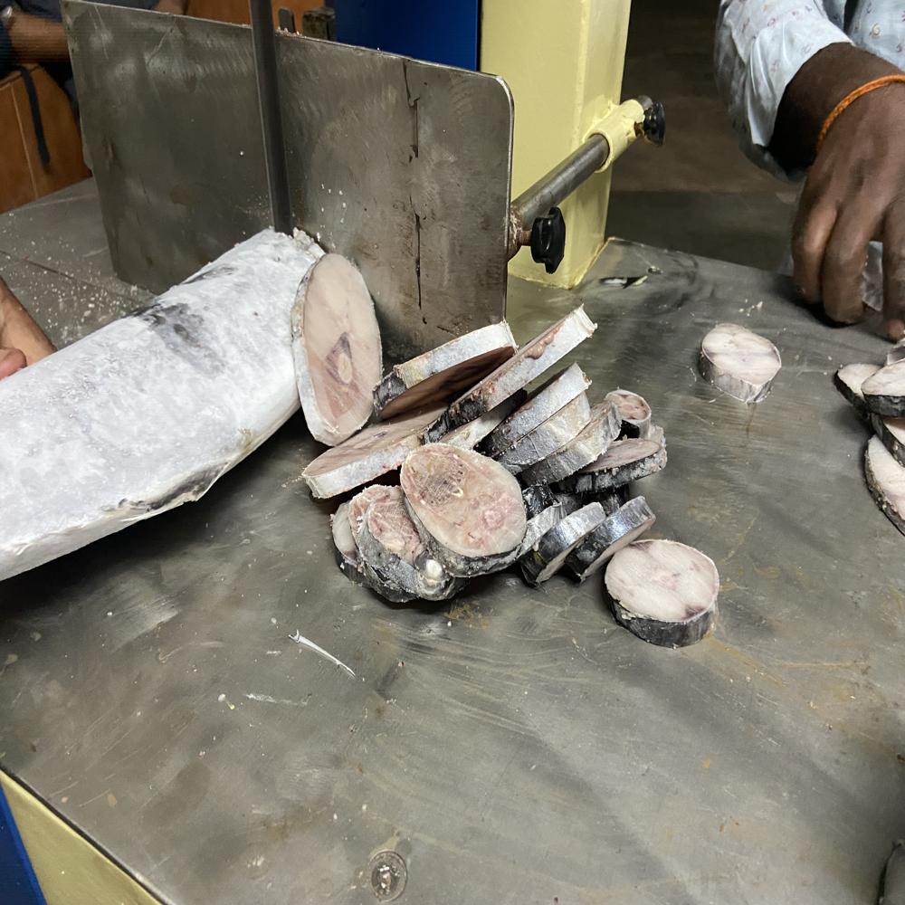 Frozen Fish Cutting Machine Manufacturer
