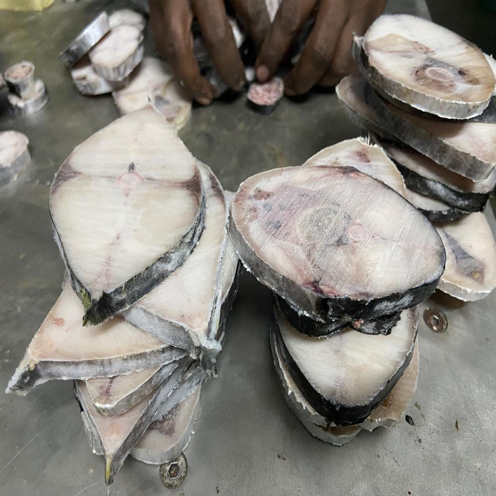 Frozen Fish Cutting Machine Manufacturer