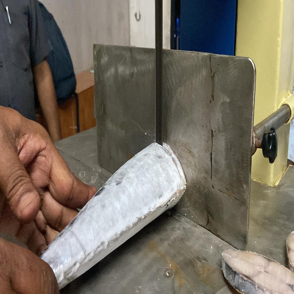 Frozen Fish Cutting Machine Manufacturer