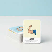 Body Parts Flash Cards for Kids