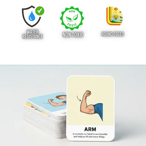 Body Parts Flash Cards for Kids