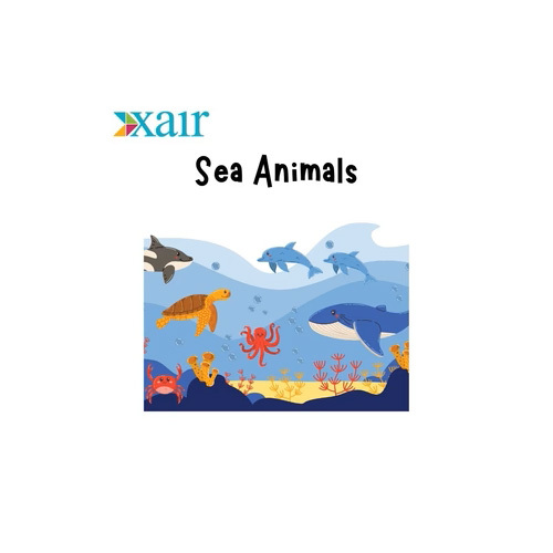 Sea Animal Through Activity Drawing Book