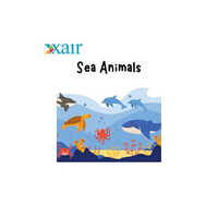 Sea Animal Through Activity Drawing Book