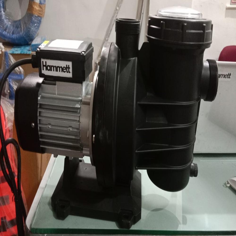 Swimming Pool Pump - Color: Back