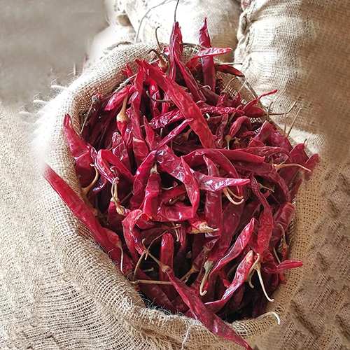 Red Chilli - Product Type: Dried