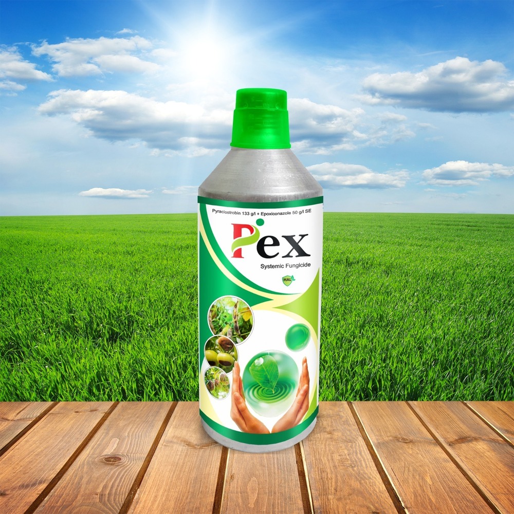 Pex Pyraclostrobin 133 GL Epoxiconazole 50 GL SE Systemic Fungicide
