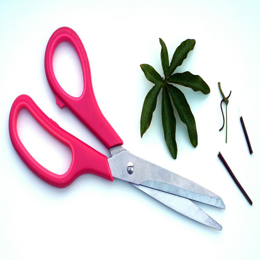 SCOTCH SCISSORS