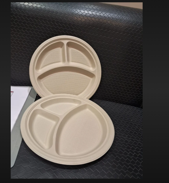 3 Cp Disposable Plate - Plastic, 3 Compartment Design | Ideal For Events, Parties, Or Outdoor Gatherings