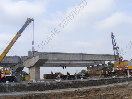 हाइड्रोलिक क्रेन रेंटल सेवाएं