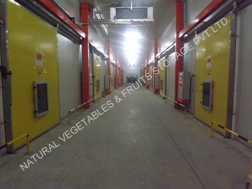 Cold Storage Plant Size: Different Sizes Available