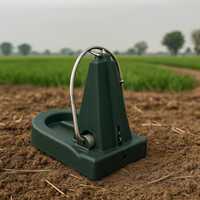 Dead Lock Pest control