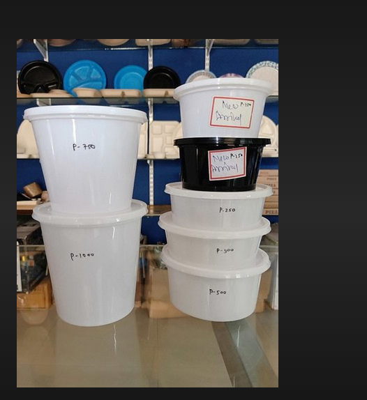 Plastic container