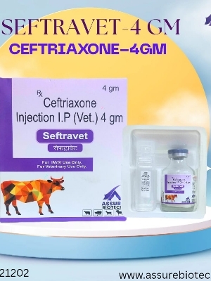 Seftravet 4gm