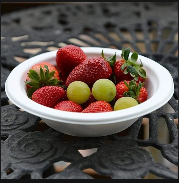 Bagasse product