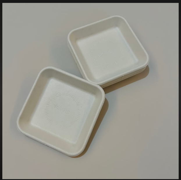 Bagasse product