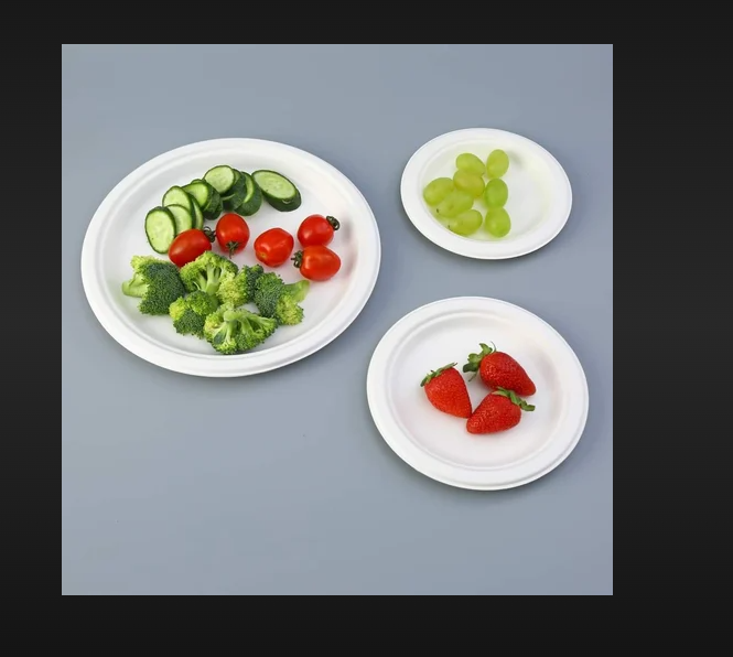 Round 10" - Bagasse Material, Eco-friendly Design For Sustainable Dining | Ideal For Parties And Catering Events