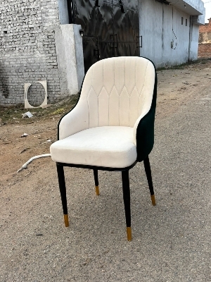 Modern velvet chair