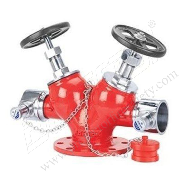 Fire Hydrant Valve - Application: Industrial