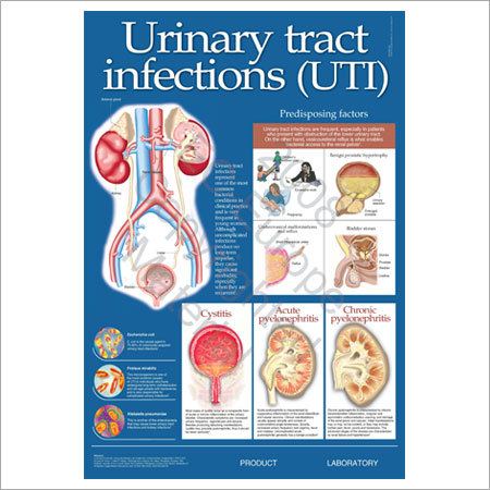 Color Changing Urinary Tract Infection Chart