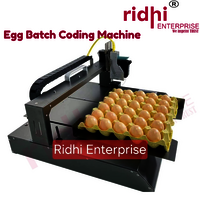 Ridhi Mini Compact Egg Batch Coding Machine - Automatic Grade: Semi-automatic