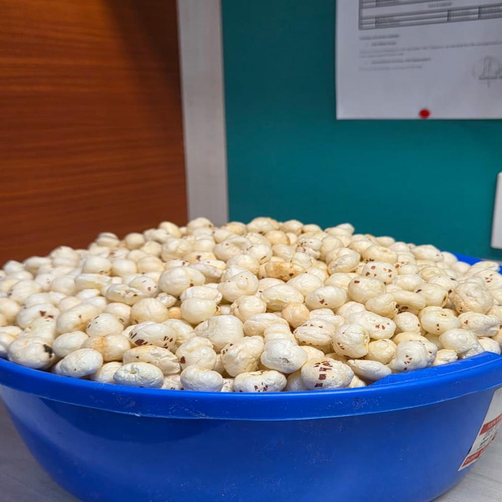5 Plus Suta Pure Makhana