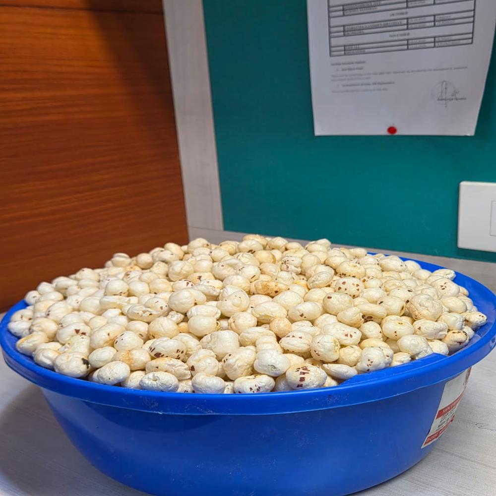 5 Plus Suta Pure Makhana