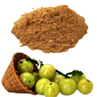 Amla Powder (without Seed) - Cultivation Type: Natural