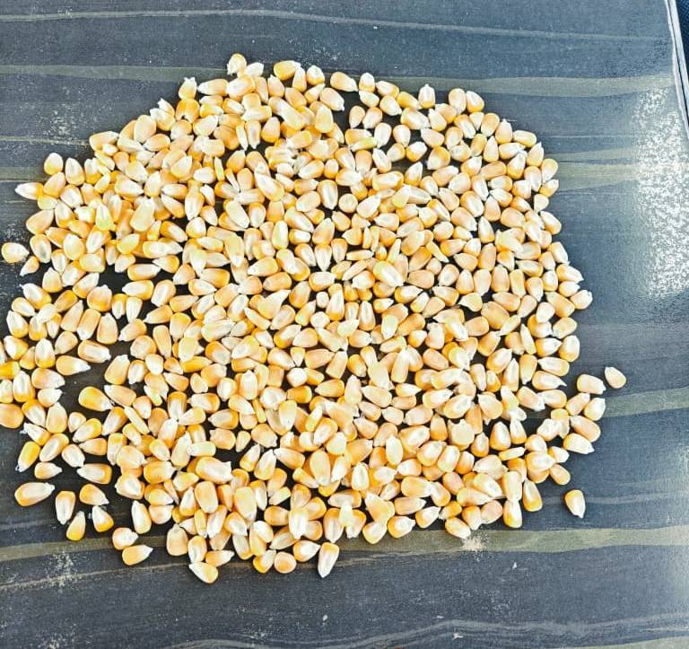 Original Yellow Pure Maize - Admixture (%): 1%