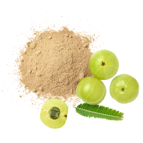 Indian Gooseberry Powder