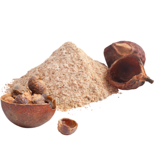 Sapindus mukorossi (Aritha Powder)