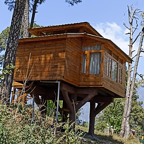 Wooden Tree House