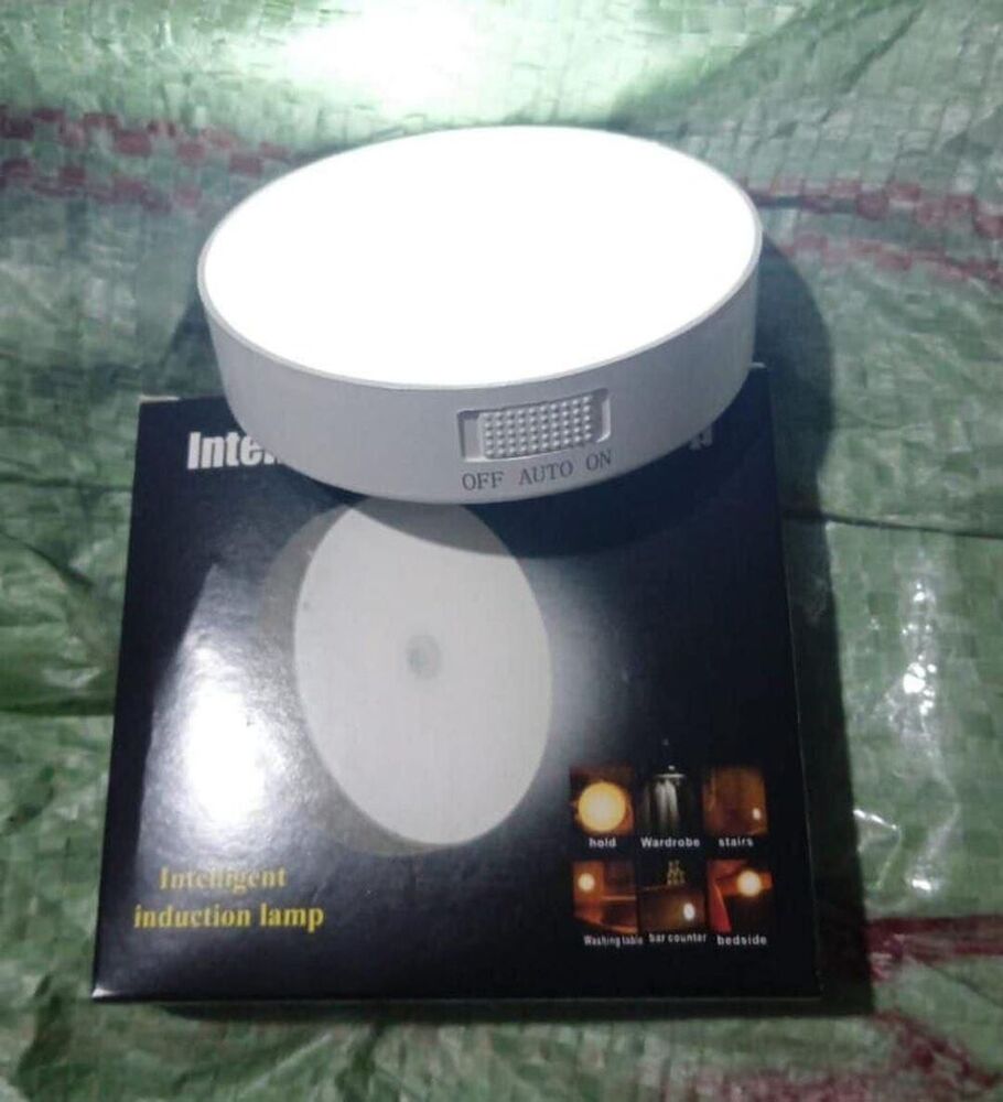 Intelligent Induction Lamp