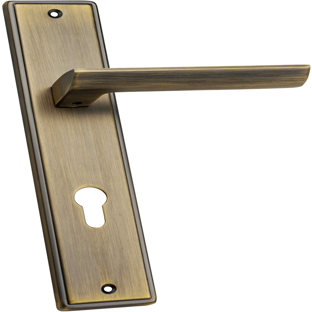 Steel Door Lock Zinnia Spider