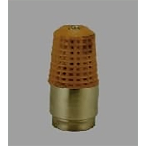 Brass Foot Valve With PVC Jali