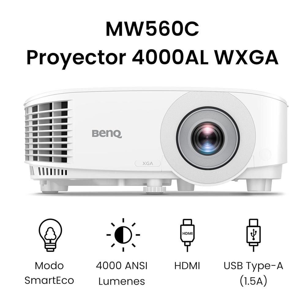 Ben Q Projector - Pictures Size: All