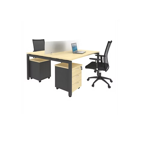 CL2 2 Person Workstation