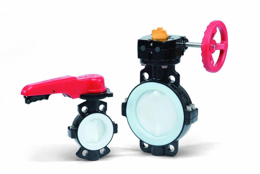 55IS Type Butterfly Valve