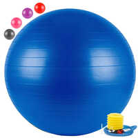 Pgb-75 Gym Ball