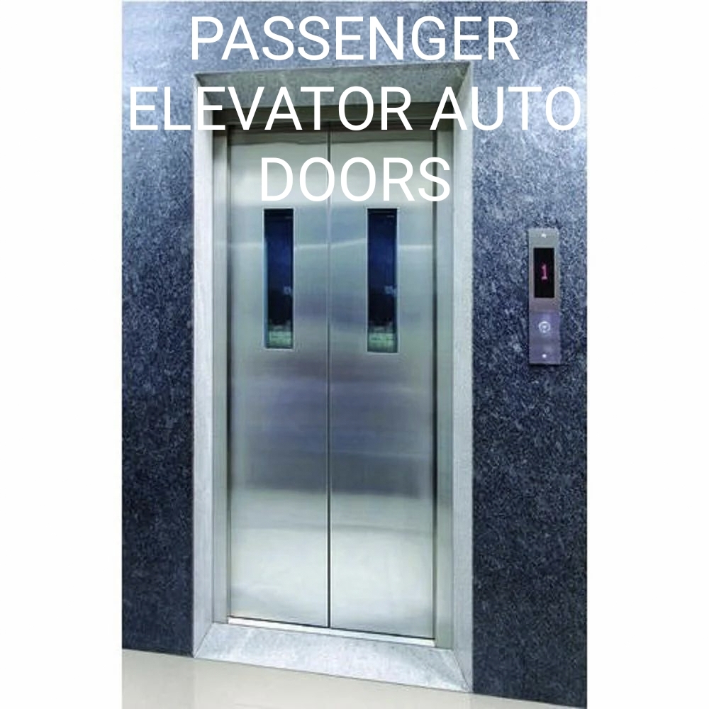 Passenger Elevator Auto Door