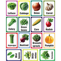 Vegetable Name Flash Cards