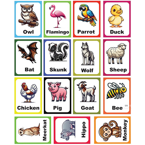 Animal Flash Cards