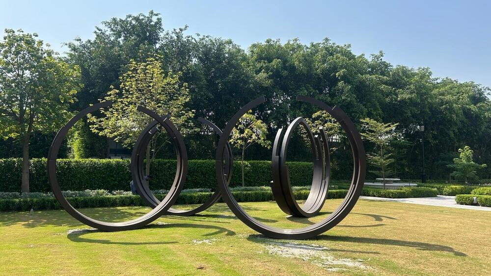 MS Ring Sculpture