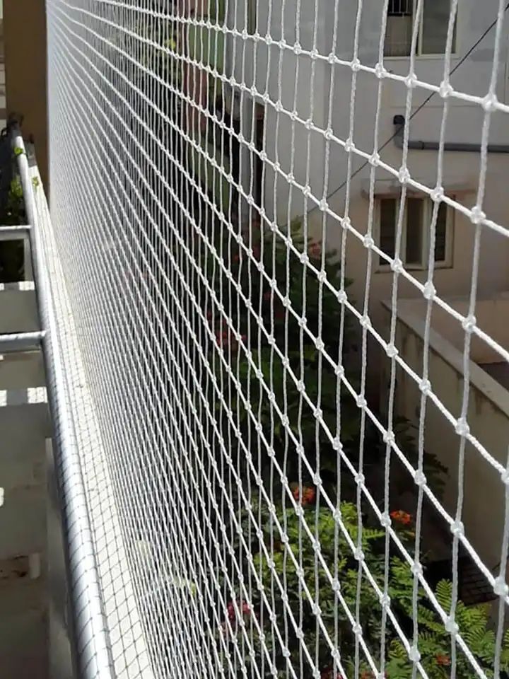 Bird Net