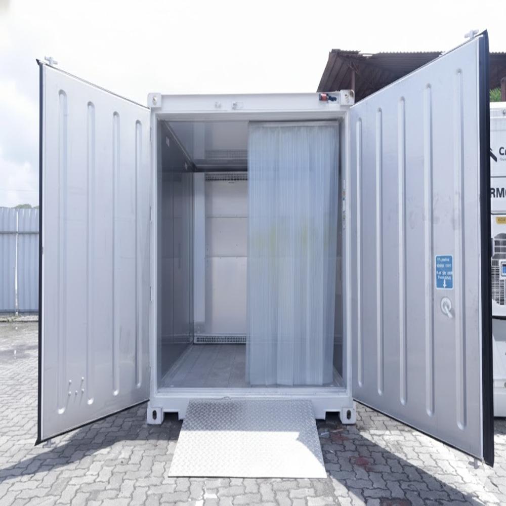 Reefer Container For Fruits Storage - Color: White