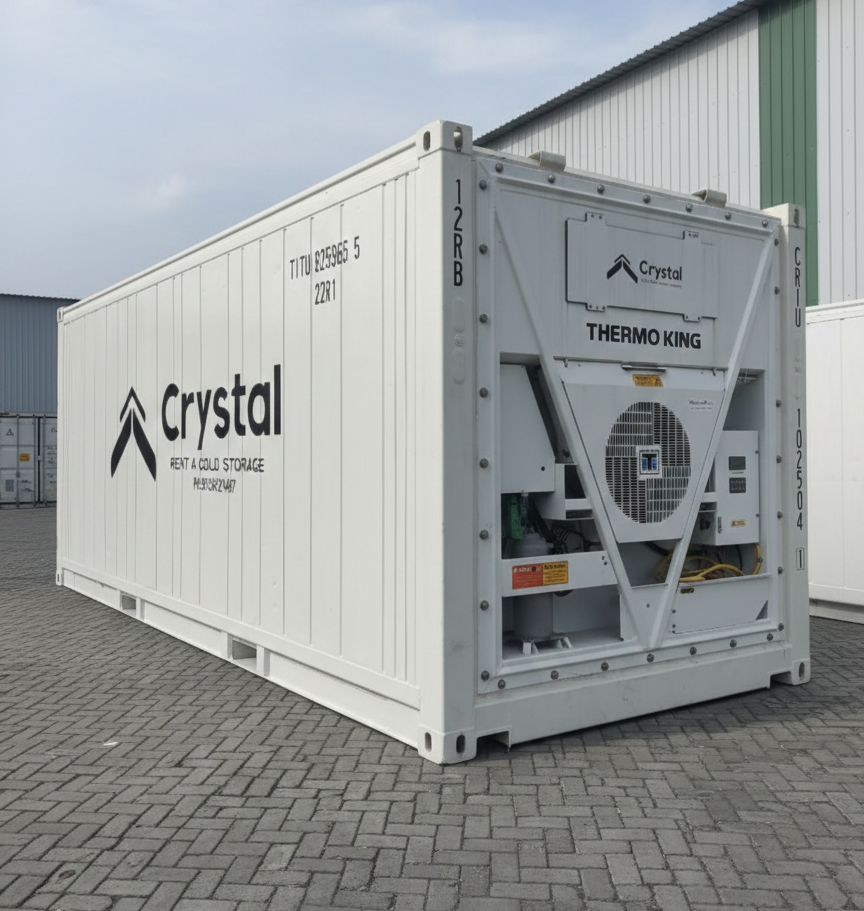 Reefer Container For Fruits Storage