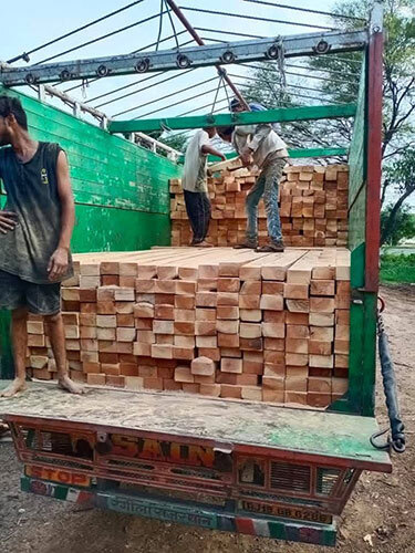 Neem Wood Planks