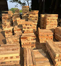 Jungle Panchrau Wood