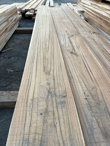 Jungle Panchrau Wood