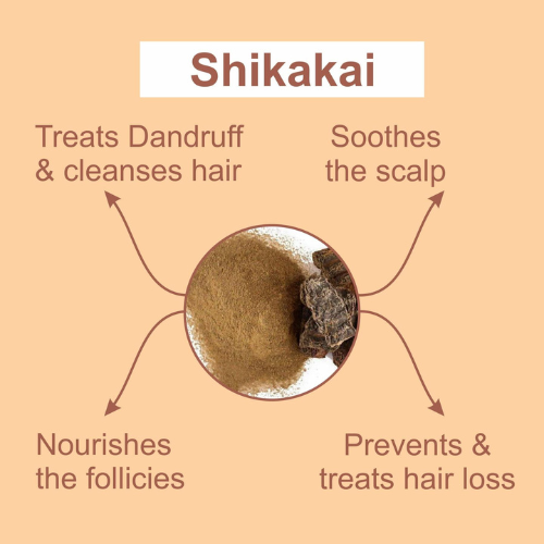 Acacia concinna Powder